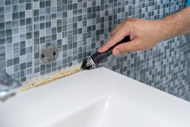 Best Affordable Mold Removal  in Parkland, WA